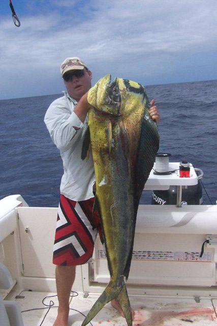 ANGLER: Matt Noferi  SPECIES: Dolphin Fish  WEIGHT: 24.5 kg LURE: J.B. Lures Lumo Dingo